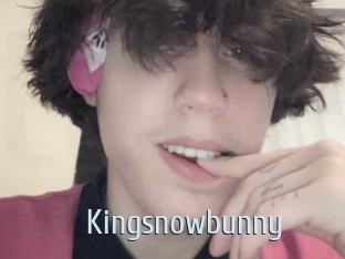 Kingsnowbunny