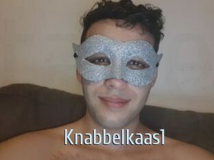 Knabbelkaas1
