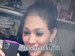 Kulkoginikutifi