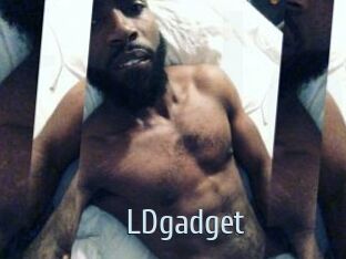 LDgadget