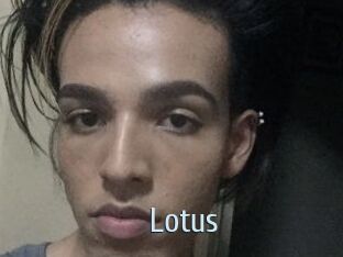 Lotus