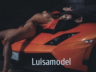 Luisamodel
