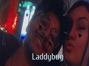 Laddybug