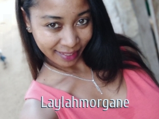 Laylahmorgane