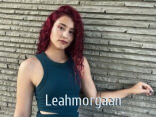 Leahmorgaan