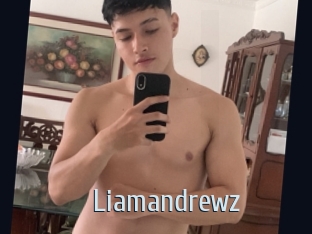 liamandrewz Ta Model