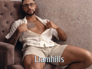 liamhills Ta Model