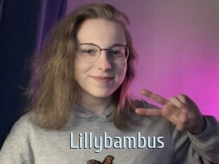 Lillybambus