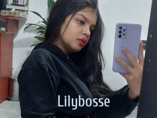 Lilybosse