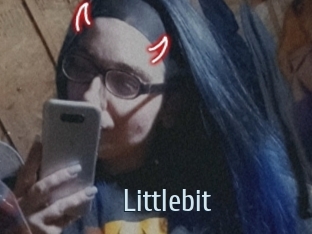 Littlebit