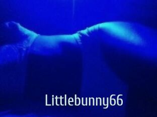 Littlebunny66