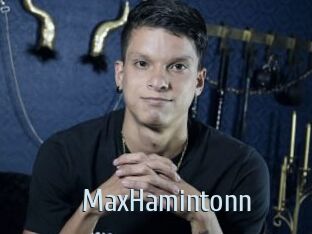 MaxHamintonn
