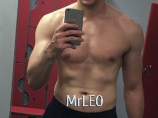MrLEO