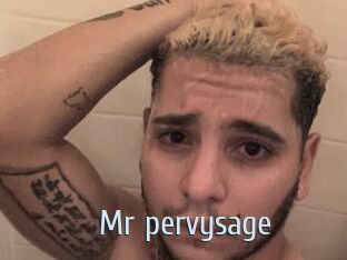 Mr_pervysage