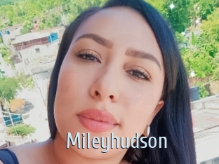 Mileyhudson