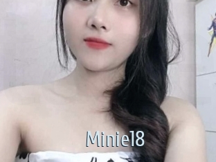 Minie18