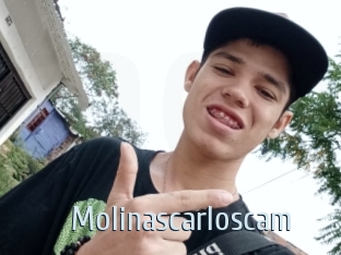 Molinascarloscam