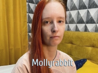 Mollyrabbit