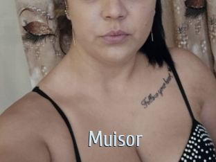 Muisor