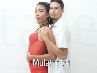 Mulataaleh