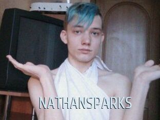 NATHAN_SPARKS