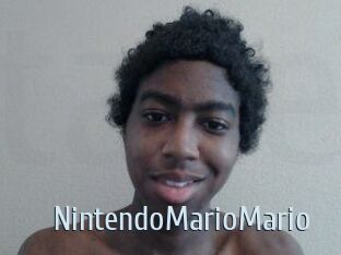 NintendoMarioMario