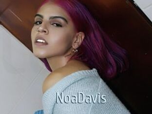 NoaDavis