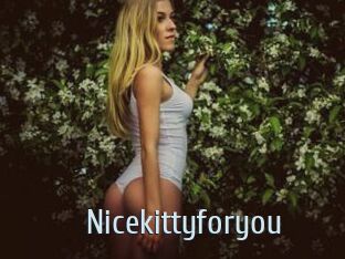 Nicekittyforyou