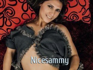 Nicesammy
