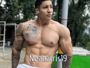 Noaharris19