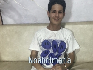 noahdimaria Ta Model