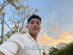 Noahkarter