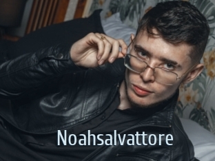 Noahsalvattore