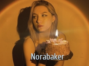 norabaker Ta Model