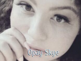 Opay_Skye