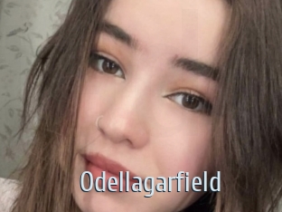 Odellagarfield