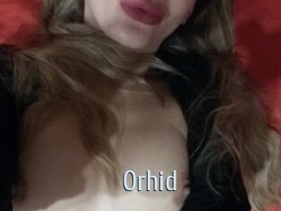 Orhid