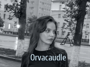 Orvacaudle