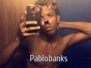 Pablobanks Ta Model