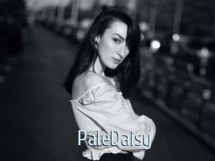 PaleDaisy