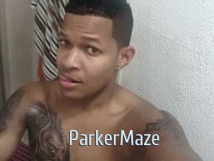 Parker_Maze Ta Model