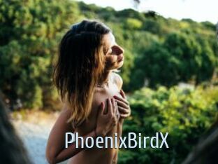 PhoenixBirdX
