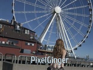 PixelGinger