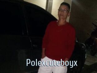 Polexcuteboyx