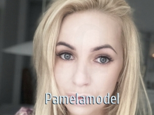 Pamelamodel