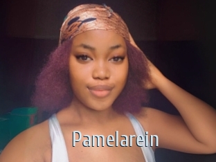 Pamelarein