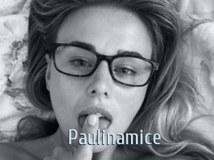 Paulinamice