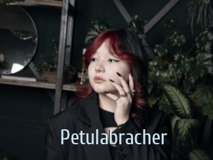 Petulabracher