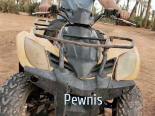 Pewnis
