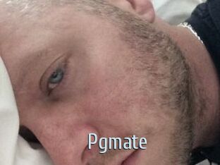 Pgmate